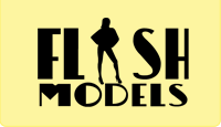 Flash Models